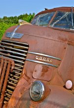 DSC_5382.jpg