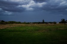 600_7086 (1000x668).jpg
