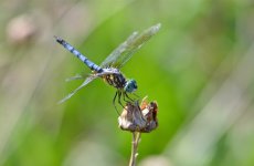 DSC_5478.jpg