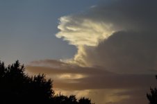 Copy - DSC_0408.jpg