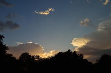 Copy - DSC_0411.jpg