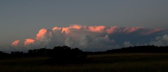 DSC_0498_01.jpg