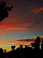 Sunset2.jpg