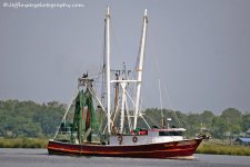 _DSC4835.jpg