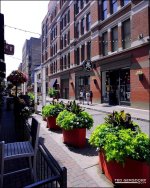 Street Flowers III_2057.jpg