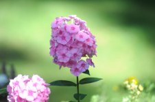 DSC_2543.jpg