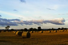 field 1 edit 6 by 4.jpg