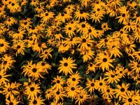 DSCN9323.jpg