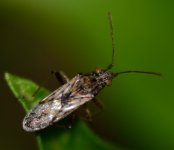 ESC_0866.jpg
