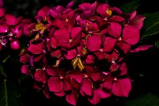DSC_0400.jpg