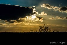 D71_0464.jpg