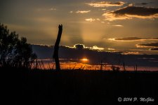 D71_0478.jpg