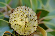 DSC_6179_2.jpg
