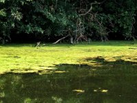 DSCN9720.jpg