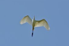 DSC_5716.jpg