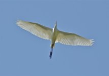 DSC_5717.jpg