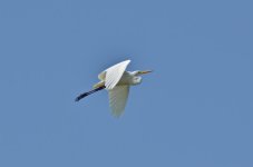 DSC_5703.jpg