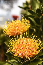 NEW_5416_webshot.jpg
