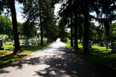 saint stephen cemetery 3.jpg