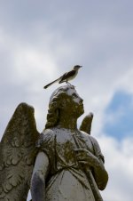 saint stephen cemetery 2.jpg