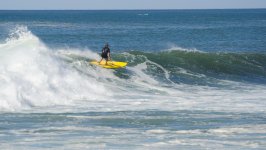 Yellow board_00006.jpg