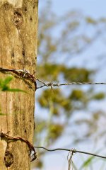 DSC_5794.jpg