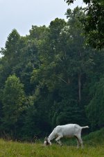 DSC_5806.jpg