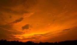 DSC_5851.jpg