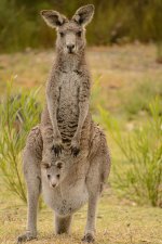 NEW_5511_webshot.jpg