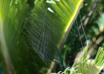 DSC_6199.jpg