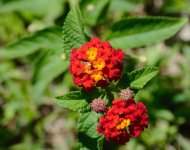 DSC_6206.jpg