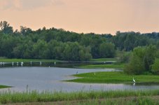 DSC_5882.jpg
