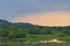 DSC_5888.jpg