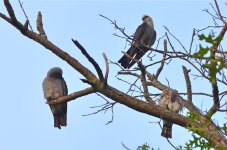 DSC_5903.jpg