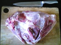 Ham01.jpg