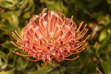NEW_5413_webshot.jpg
