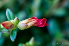 D71_0561.jpg