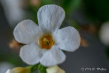 D71_0562.jpg
