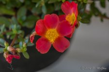 D71_0571.jpg