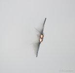 Duluth_Airshow-16.jpg