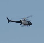 DSC_6241.jpg
