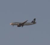 DSC_6274.jpg