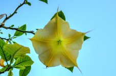 DSC_6247_2.jpg