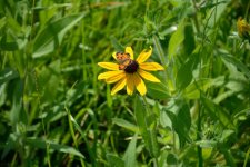 DSC_1113.jpg