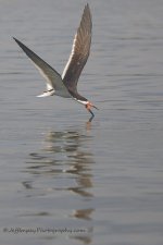 _DSC5501.jpg