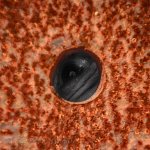 The eye square_webshot.jpg