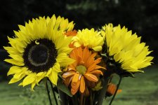 DSC_1194.jpg