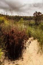 NEW_5461_webshot.jpg