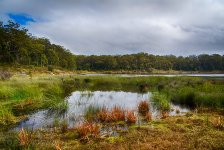 NEW_5481_HDR_webshot.jpg