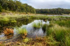 NEW_5488_HDR_webshot.jpg